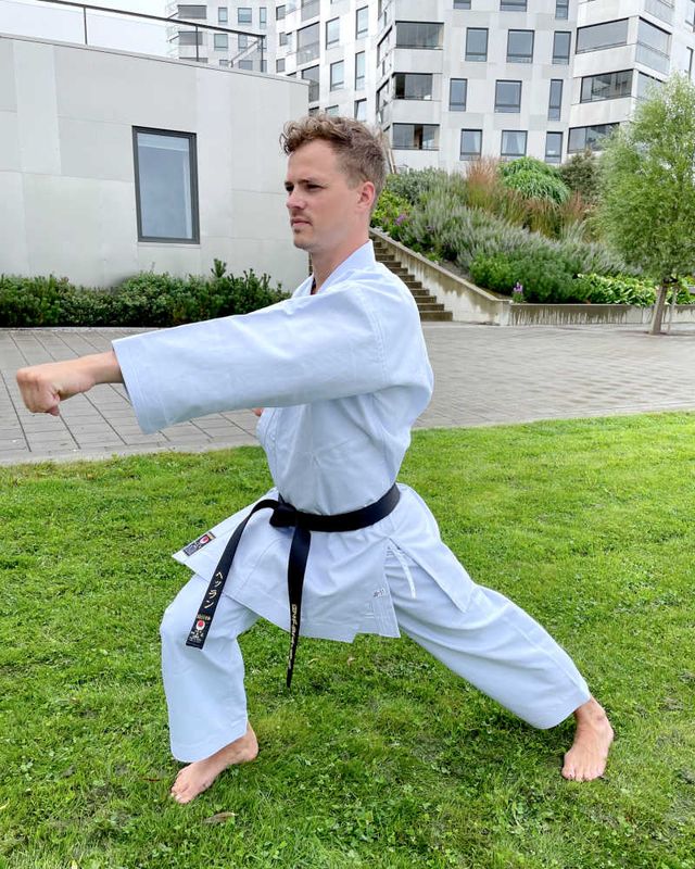 Shobu SB11 - medium weight